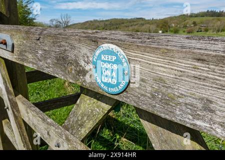 Primo piano di un'Inghilterra naturale tenere i cani su un cartello di avvertimento al piombo sul cancello di una fattoria di campagna in legno su un terreno agricolo Inghilterra Regno Unito Gran Bretagna Foto Stock