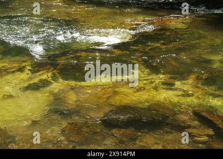 Le acque del fiume Rivanna in Virginia, Stati Uniti Foto Stock