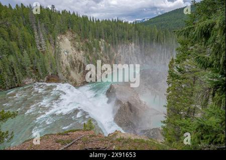 Vista aerea della cascata Watpta sul fiume Kicking Horse nel Parco Nazionale di Yoho, British Columbia, Canada Foto Stock