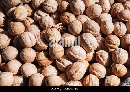 sfondo con un sacco di noci non sbucciate in conchiglie sul bancone del mercato primo piano Foto Stock