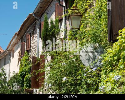 Muri in pietra con muri ricoperti di edera, lanterna e cartelli con il sole, storiche case in pietra ricoperte di verde in Provenza, le Castellet, Francia Foto Stock