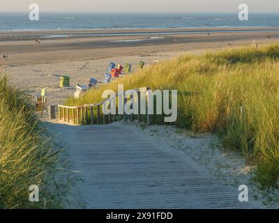 Sentiero in legno attraverso dune di sabbia che conduce alla spiaggia con sedie colorate, tramonto sulla spiaggia con sedie a sdraio sul mare, langeoog Foto Stock