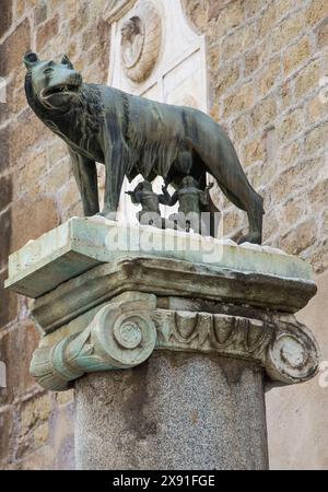 Roma: Statua della lupa Capitolina, con Romolo e Remo, accanto a Piazza Capitolino Foto Stock