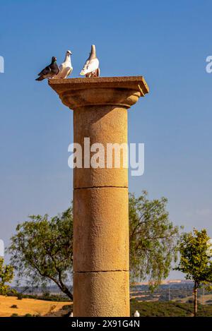 Grande cimitero con tombe e simboli religiosi a Chiclana, Andalusia, Spagna Foto Stock