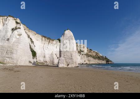 Scogliera calcarea del Pizzomunno sulla spiaggia di Vieste, Gargano, provincia di Foggia, Puglia, Italia Foto Stock