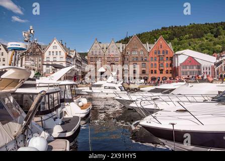 La parte storica di Bergen, il negozio ospita sul lungomare di Bryggen, sito patrimonio dell'UESCO, Norvegia. Foto Stock
