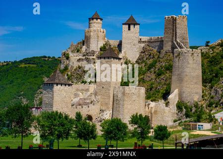 L'antica Fortezza Golubac sorge in mezzo a una lussureggiante vegetazione, mostrando la grandiosità delle sue torri e mura in pietra contro un cielo vibrante e senza nuvole in S. Foto Stock