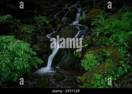 Washington, Stati Uniti. Foto Stock