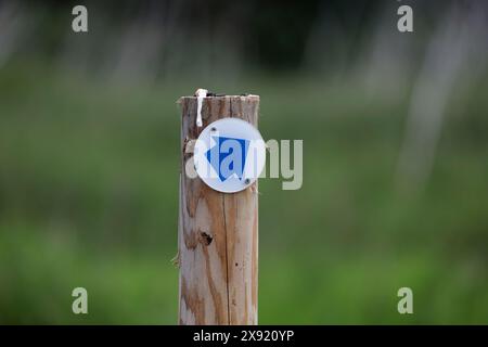 Un cartello costituito da una freccia blu su una base rotonda bianca fissata ad un palo di legno che punta diagonalmente verso l'alto e verso destra Foto Stock