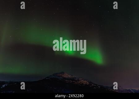 Aurora boreale all'inizio dell'inverno vicino a Narvik, Isole Lofoten, Norvegia settentrionale Foto Stock