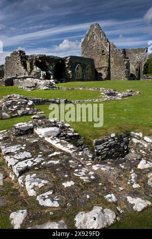 Glenluce 12 ° secolo Cistercense Abbazia rovina, Dumfries & Galloway, Scozia Foto Stock