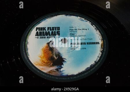 Pink Floyd Animals. Vinile dell'edizione 2018 Foto Stock