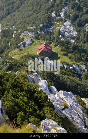 Vista dalla cima della montagna Veliki Risnjak a Gorski Kotar, Croazia Foto Stock