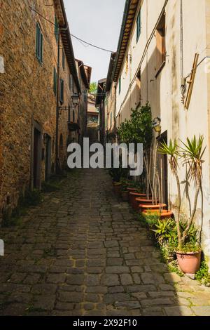 Una strada ripida nel centro storico medievale di Collodi in Toscana, in una giornata di sole. La città è sede di Pinocchio e accoglie i turisti. Foto Stock