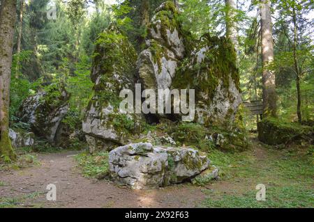 Enorme roccia coperta di muschio nel parco forestale Golubinjak, Gorski kotar, Croazia Foto Stock