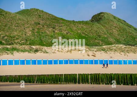 Cabine sulla spiaggia del Mare del Nord vicino a Zoutelande, Zelanda, frangiflutti con bassa marea, dune, Paesi Bassi, Foto Stock