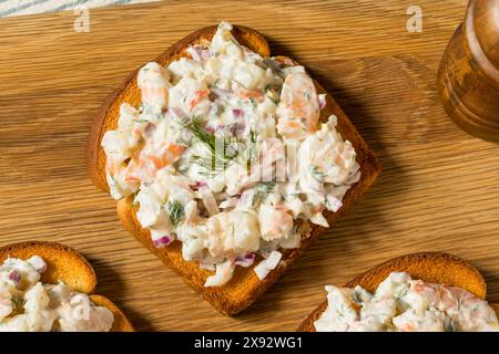 Brindisi ai gamberetti freddi Skagen su pane con maionese e aneto Foto Stock