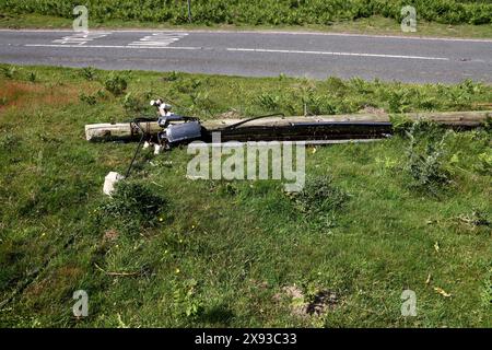 Una vittima di un incidente stradale in cui un veicolo pesante ha colpito un palo del telegrafo e l'ha scattato, colpendo la parte superiore. Foto Stock