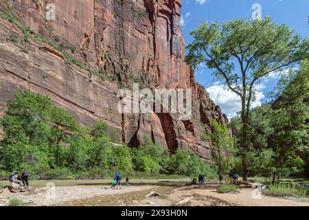 I turisti camminano lungo il Virgin River sul lungofiume nel Parco Nazionale di Zion, Utah Foto Stock