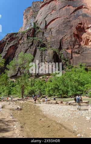 I turisti camminano lungo il Virgin River sul lungofiume nel Parco Nazionale di Zion, Utah Foto Stock