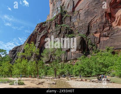 I turisti camminano lungo il Virgin River sul lungofiume nel Parco Nazionale di Zion, Utah Foto Stock