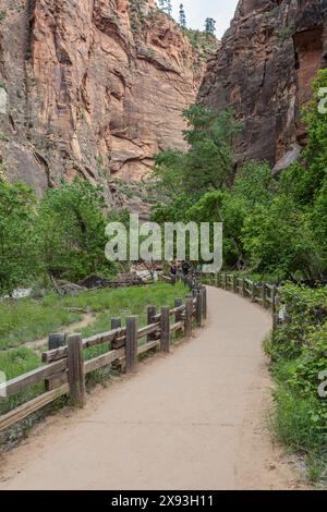 I turisti camminano lungo una parte lastricata del lungofiume nel Parco Nazionale di Zion, Utah Foto Stock