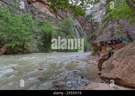 Turisti lungo il fiume Virgin sul lungofiume nel Parco Nazionale di Zion, Utah Foto Stock