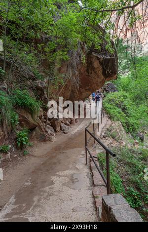 I turisti che camminano sotto rocce sovrastanti lungo il lungofiume nel Parco Nazionale di Zion, Utah Foto Stock