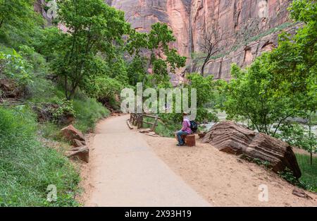 Turisti lungo il fiume Virgin sul lungofiume nel Parco Nazionale di Zion, Utah Foto Stock