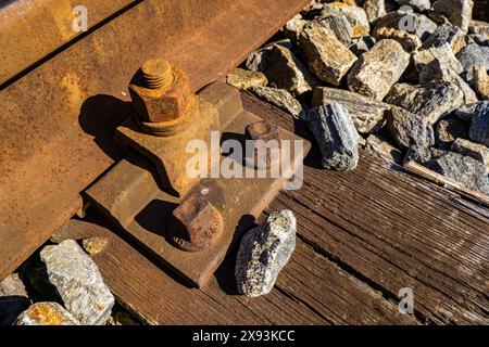 Oggetto in metallo arrugginito su pavimento in legno Foto Stock