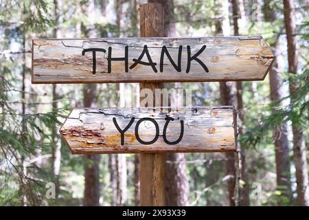 Messaggio di ringraziamento scritto su un pezzo di un palo di legno sullo sfondo di una foresta Foto Stock