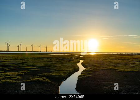 Le turbine eoliche della Gaomei Wetlands area al tramonto, un popolare punto panoramico nel quartiere di Qingshui, nella città di Taichung, Taiwan. Foto Stock