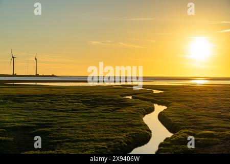 Le turbine eoliche della Gaomei Wetlands area al tramonto, un popolare punto panoramico nel quartiere di Qingshui, nella città di Taichung, Taiwan. Foto Stock