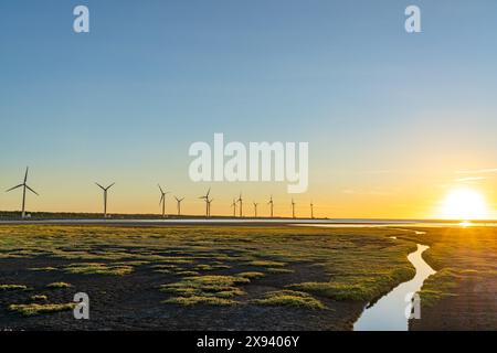 Turbine eoliche nella zona delle paludi di Taichung Port Gaomei. Un popolare punto panoramico nel quartiere di Qingshui, Taichung City, Taiwan Foto Stock