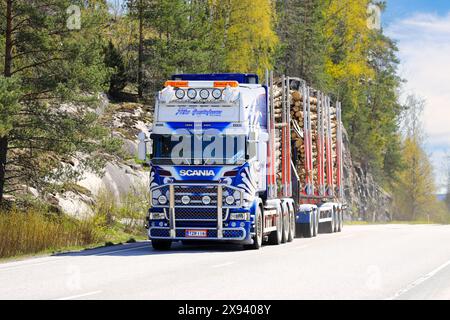 Il camion personalizzato Scania di Kuljetusliike Niko Gustafsson tira il carico di tronchi sull'autostrada in una giornata di sole di primavera. Salo, Finlandia. 8 maggio 2024. Foto Stock