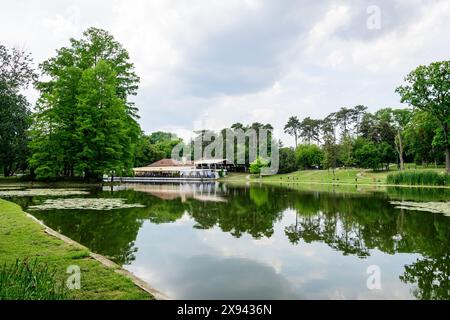 Paesaggio vivido nel parco Nicolae Romaescu da Craiova nella contea di Dolj, Romania, con lago, lillie d'acqua e grandi tres verdi in una splendida sprina soleggiata Foto Stock