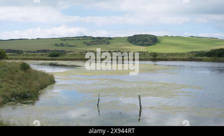 Cuckmere Haven, Regno Unito - 10 settembre 2022: Veduta di Cuckmere Haven che mostra una struttura in legno parzialmente sommersa all'interno dell'acqua in primo piano e WO Foto Stock