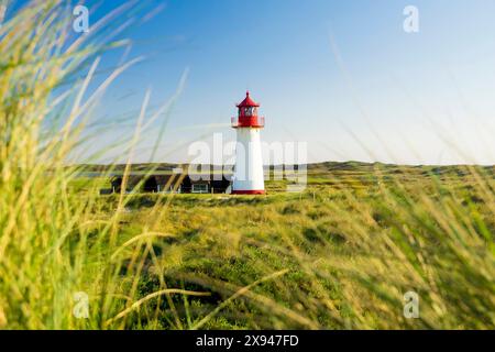 14. 05. 2024 Sylt Der weiße Leuchtturm List West auf der Sylter Halbinsel Ellenbogen ist der älteste Leuchtturm an der Westküste Schleswig-Holsteins Sylt Schleswig Holstein Deutschland *** 14 05 2024 Sylt il faro bianco List West sulla penisola Ellenbogen di Sylt è il faro più antico sulla costa occidentale dello Schleswig Holstein Sylt Schleswig Holstein Germania Foto Stock