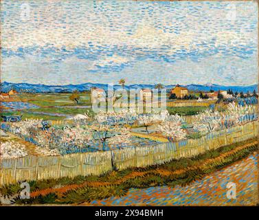 Vincent van Gogh, Peach Trees in Blossom, pittura di paesaggio in olio su tela, 1889 Foto Stock