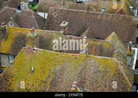 Vista dettagliata delle antiche tegole degli edifici storici. Foto Stock