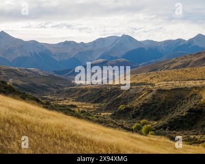 La valle di un fiume sommerso presso la riserva panoramica Cave Stream sulla Highway 73, regione di Canterbury, Isola del Sud, nuova Zelanda, Pacifico Foto Stock