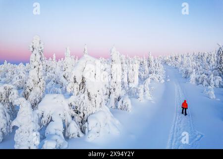 Vista aerea invernale di un escursionista che cammina sulla collina innevata con alberi ricoperti di neve e ghiaccio, Mustavaara, Parco Nazionale Pallas-Yllastunturi, Finlandia Foto Stock