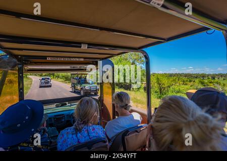 Vista di elefanti e persone in veicoli safari nel Parco Nazionale Kruger, Sudafrica, Africa Foto Stock