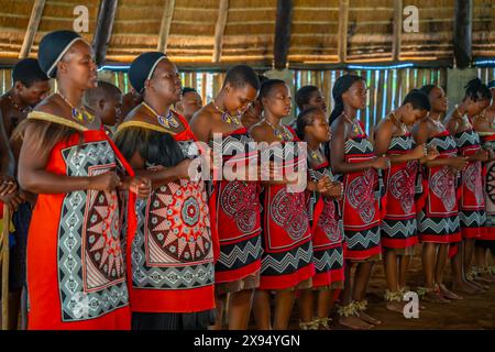 Vista dello spettacolo musicale e di danza Swazi, Mantenga Cultural Village, un tradizionale insediamento Eswatini, Malkerns, Eswatini, Africa Foto Stock