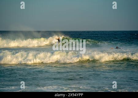 Vista del surfista, Capo San Francesco, Provincia del Capo Orientale, Sudafrica, Africa Foto Stock