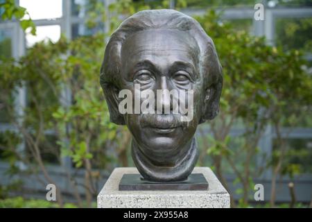 Busto di Albert Einstein, Street of Remembrance, Spreebogen, Moabit, Mitte, Berlino, Germania, Büste Albert Einstein, Straße der Erinnerung, Spreebogen, Foto Stock