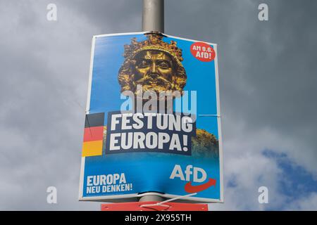 AFD, manifesto elettorale per le elezioni europee 2024, Berlino, Germania, AfD, Wahlplakat zur Europawahl 2024, Berlino, Germania Foto Stock