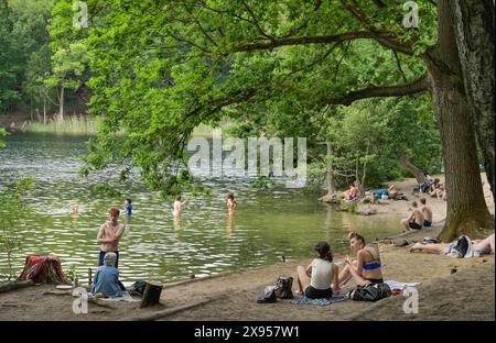 Zona balneare, Krumme Lanke, Zehlendorf, Steglitz-Zehlendorf, Berlino, Germania +++ NESSUN RILASCIO DI MODELLI, Badestelle, Krumme Lanke, Zehlendorf, Steglitz-Zehl Foto Stock