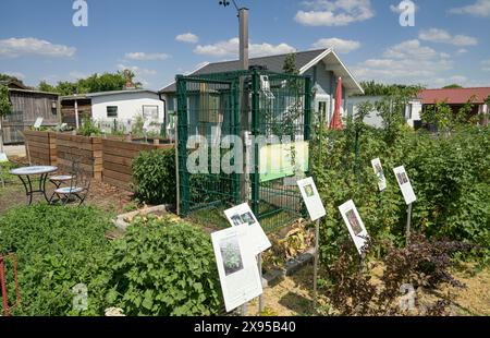 Climate Show Garden, Grüne Aue Colony at Priesterweg / Grazer Damm, Schöneberg, Tempelhof-Schöneberg, Berlino, Germania, Klima Schaugarten, Kolonie Grün Foto Stock