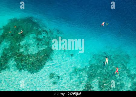 Volo di amanti dello snorkeling che nuotano su una barriera corallina poco profonda con le tartarughe marine in un oceano tropicale Foto Stock